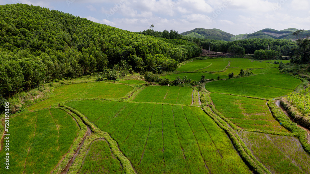 Lush green terraced rice fields nestled between rolling hills, showcasing rural agricultural landscape in a serene natural environment