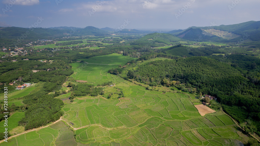 Aerial view of lush green terraced rice fields with surrounding forested hills, depicting rural agriculture and natural landscapes