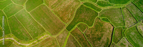 Aerial view of a patchwork of green agricultural fields, showcasing the concept of farming and rural landscapes  Earth Day concept