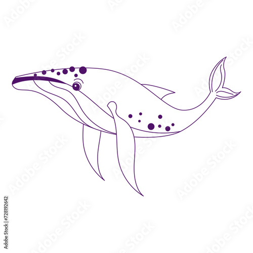 Humpback Whale Outline Illustration