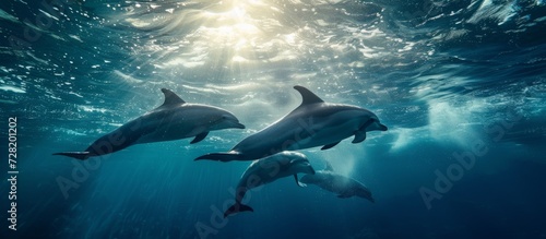 Majestic Underwater Dance: Dolphins Gliding Through Sunlit Depths