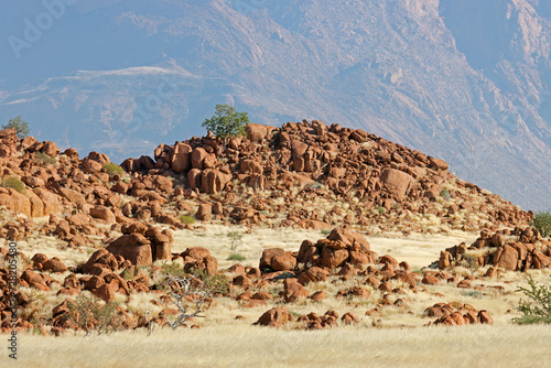 Scenic desert landscape with rocks and arid grassland, Brandberg mountain, Namibia.
