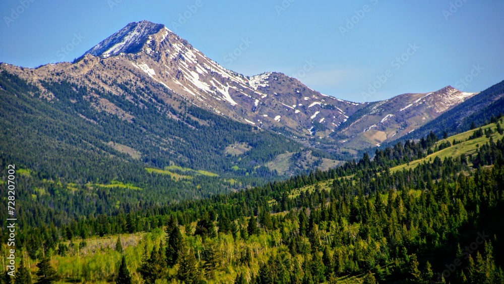 Montana Mountain View