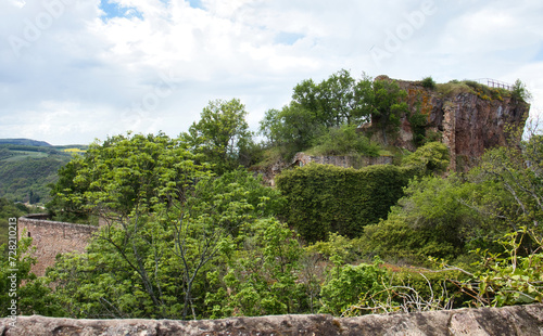 Trees and plants growing around castle ruins on a spring day above Bad Munster, Germany.