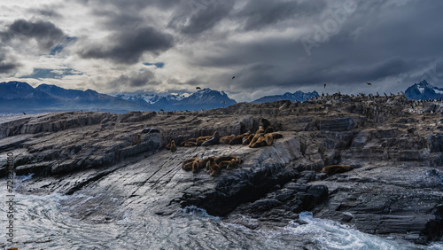A colony of sea lions rests lying on the slope of a rocky islet in the Beagle Channel. The cormorants settled on the cliffs. A picturesque mountain range of the Andes against a cloudy sky.