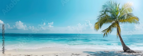 Coconut tree on Tropical beach during a sunny day  palm tree. summertime  coastline sandy beach view. copy space  mockup.