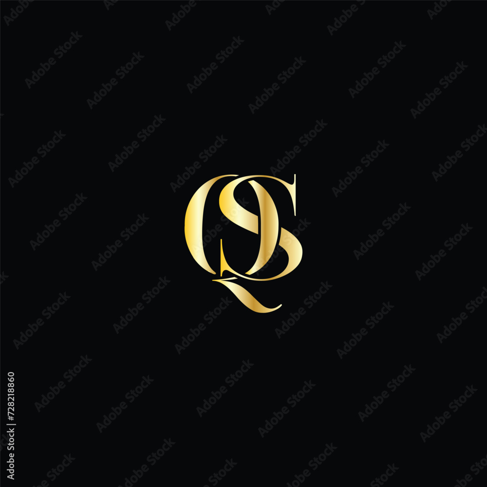 Obraz premium Vector QS logo