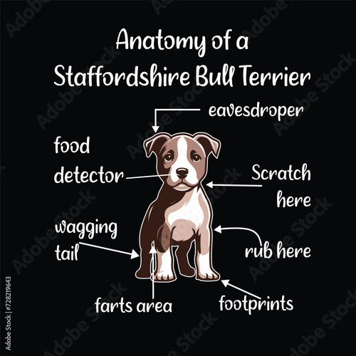 Anatomy of a Staffordshire Bull Terrier Typography T-shirt Design Illustration Vector