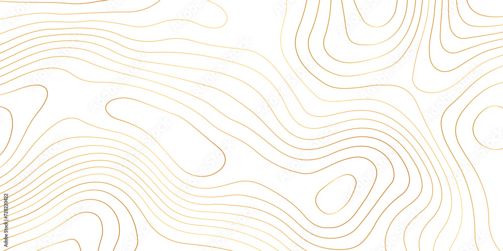 Abstract background with topographic contours map .white wave paper and geographic golden line abstract background .vector illustration of topographic line contour map design .