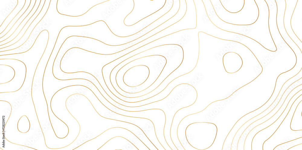 Abstract background with topographic contours map .white wave paper and geographic golden line abstract background .vector illustration of topographic line contour map design . - obrazy, fototapety, plakaty 