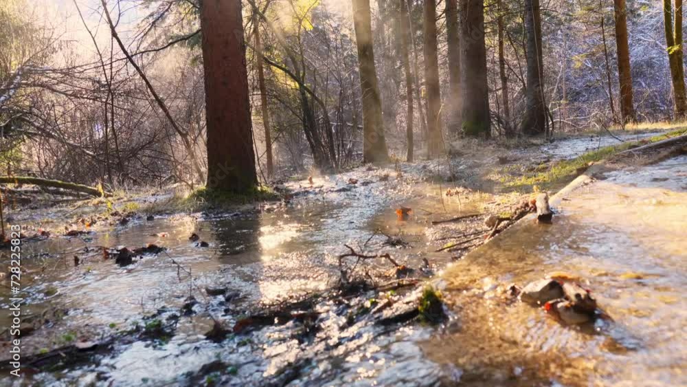 Stunning 4K video of a beautiful sunrise or dawn at natural reserve Zelenci, Slovenia. Early morning with a cloudy fog lingering over natural spring water flowing amid the trees. Stunning 4K video of a beautiful sunrise or dawn at natural reserve Zelenci, Slovenia. Early morning with a cloudy fog lingering over natural spring water flowing amid the trees.