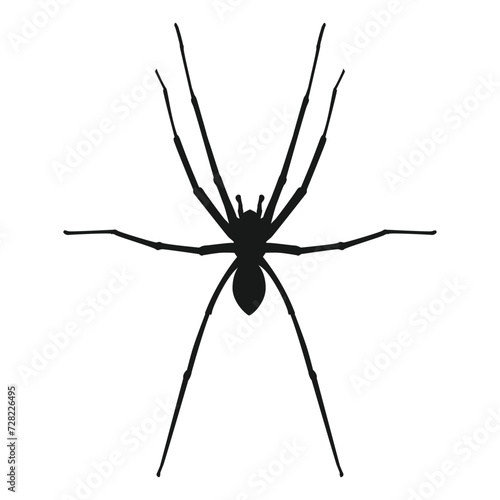 spider icon vector