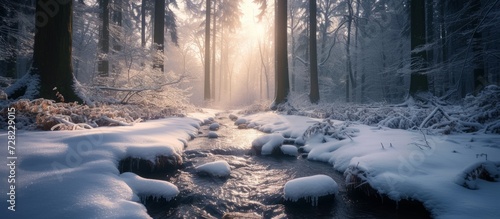 Frozen Stream in Enchanting Forest: Explore the Tranquil Beauty of a Frozen Stream Amidst a Magical Forest Wonderland photo