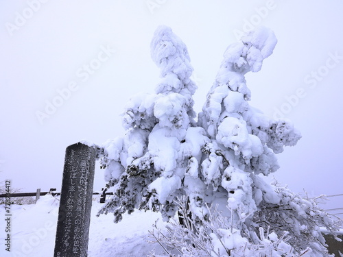 Japanese Winter Scene at Zao Zaoonsen Yamagata in the northeastern region of 
Japan
 photo