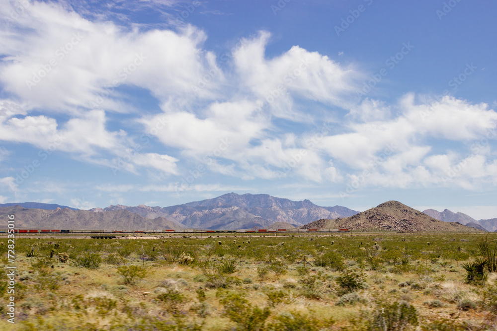 Fototapeta premium Desert in Arizona with green bushes and cacti on a sunny day with blue sky and white clouds. Nature near Phoenix, Arizona, USA