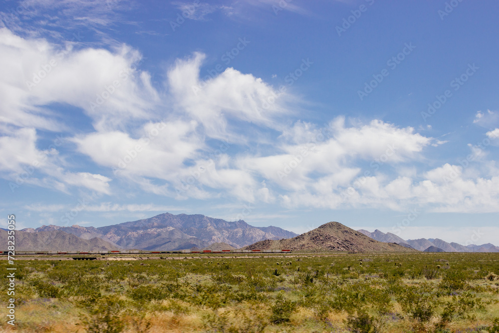 Desert in Arizona with green bushes and cacti on a sunny day with blue sky and white clouds. Nature near Phoenix, Arizona, USA