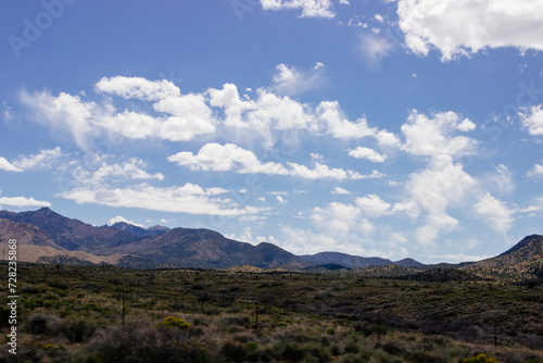 Desert in Arizona with green bushes and cacti on a sunny day with blue sky and white clouds. Nature near Phoenix, Arizona, USA