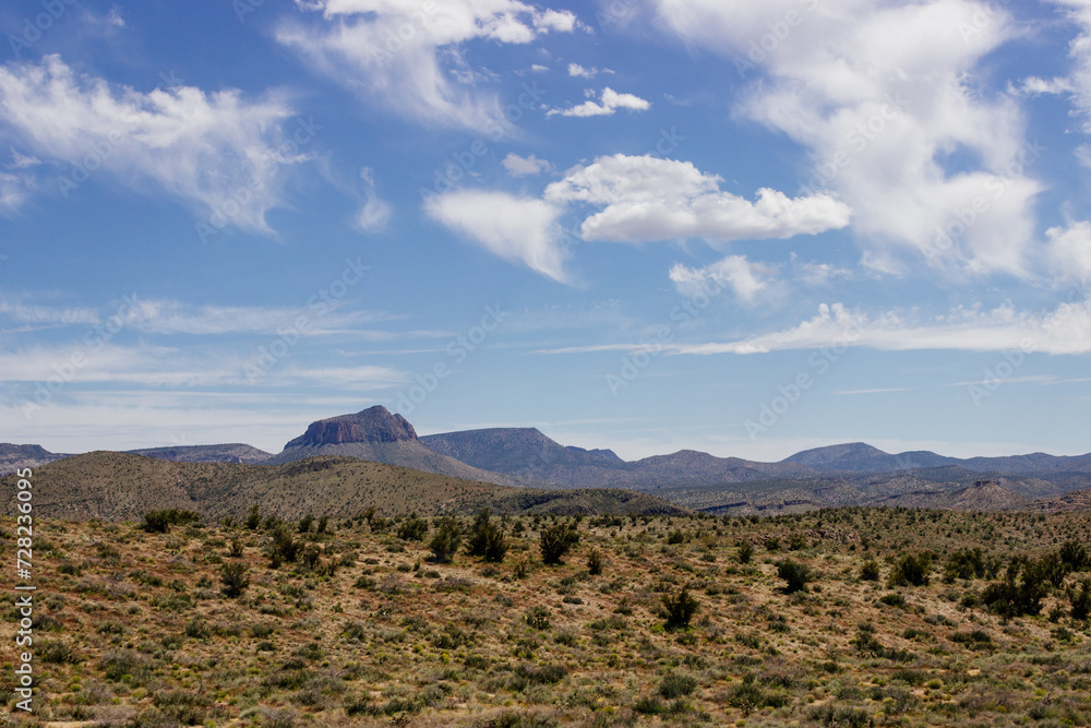 Desert in Arizona with green bushes and cacti on a sunny day with blue sky and white clouds. Nature near Phoenix, Arizona, USA Desert in Arizona with green bushes and cacti on a sunny day with blue sky and white clouds. Nature near Phoenix, Arizona, USA