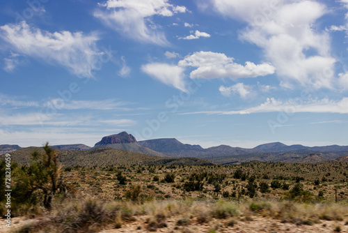 Desert in Arizona with green bushes and cacti on a sunny day with blue sky and white clouds. Nature near Phoenix, Arizona, USA