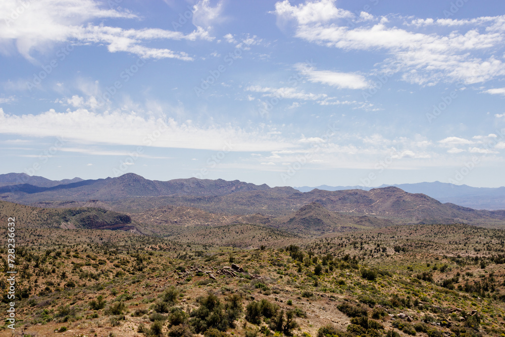 Desert in Arizona with green bushes and cacti on a sunny day with blue sky and white clouds. Nature near Phoenix, Arizona, USA