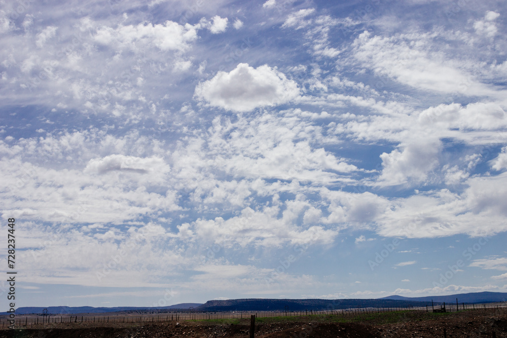 Desert in Arizona with green bushes and cacti on a sunny day with blue sky and white clouds. Nature near Phoenix, Arizona, USA