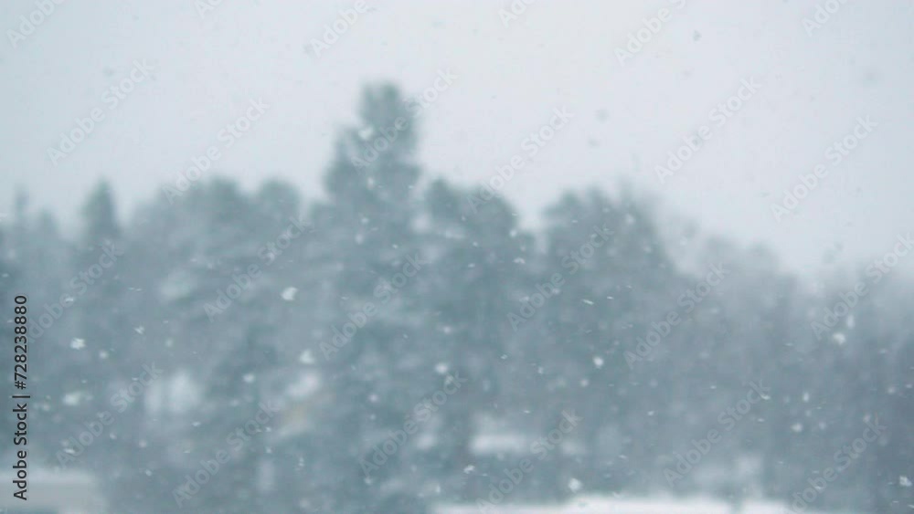 Cold winter background: Fluffy snowflakes fall against defocused trees Cold winter background: Fluffy snowflakes fall against defocused trees