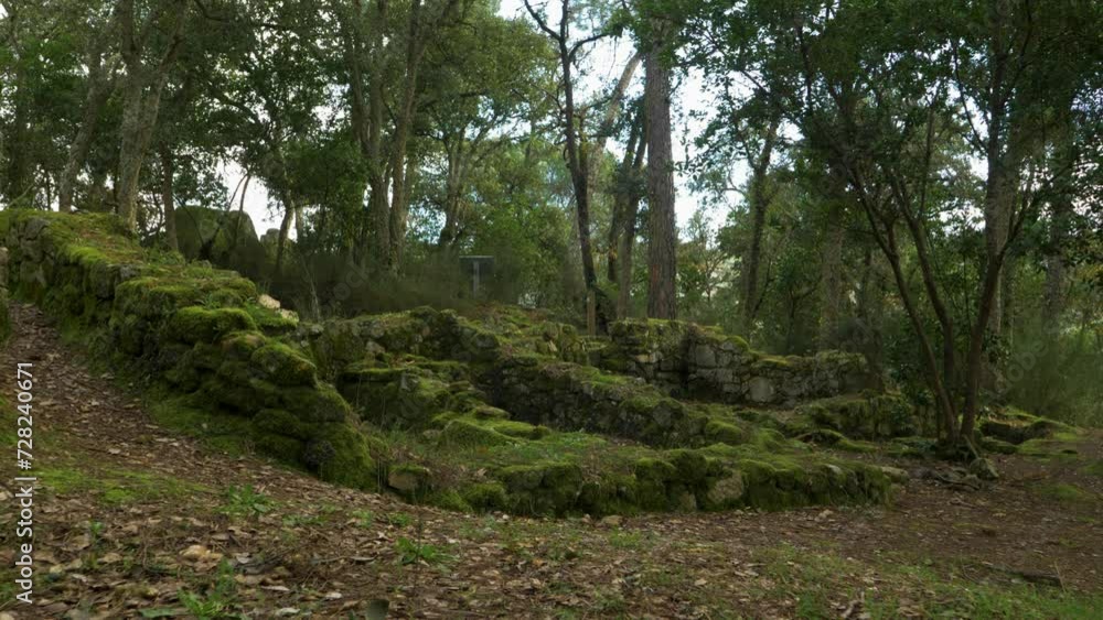 Static low view of mossy rock wall structure under forest canopy Static low view of mossy rock wall structure under forest canopy