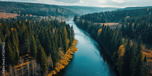 Aerial view of the river in the coniferous forest