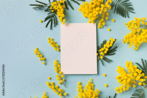 Spring background for 8 March, Mother day or birthday with fresh mimosa flowers and empty paper blank top view.