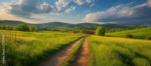 Rural Landscape in Springtime Countryside