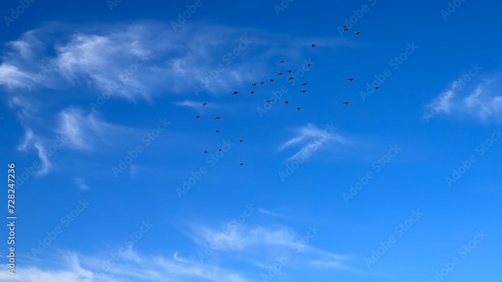 Summer blue sky cloud gradient light white background. Gloomy vivid cyan landscape in environment day horizon skyline view spring wind Summer blue sky cloud gradient light white background. Gloomy vivid cyan landscape in environment day horizon skyline view spring wind