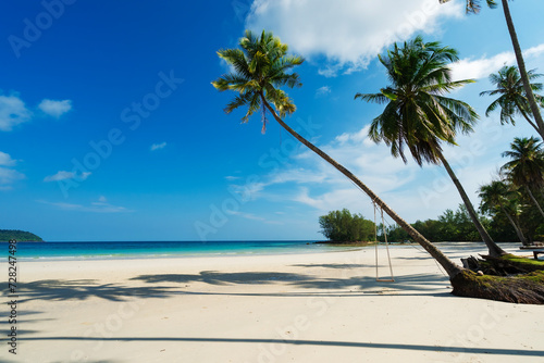 Scenic Coral Beach With Palm Tree.