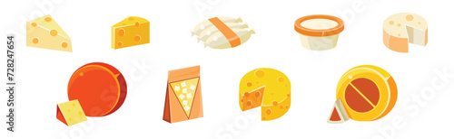 Cheese Different Type Flat Icon and Object Vector Set