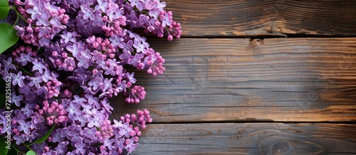 Beautiful Lilac Flowers on a Wooden Background  A Scenic Display of Beautiful Lilac Flowers Against a Gorgeous Wooden Background