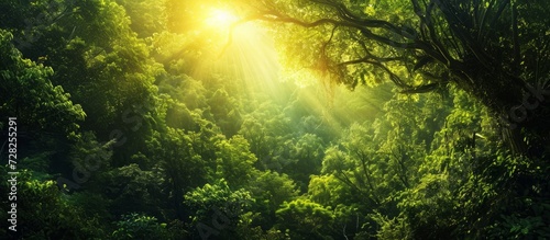 Enchanting Beauty  Green Forest Background Transforming into a Picturesque Canvas of Beautiful  Green Forest Scenery
