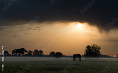 This enchanting image showcases a solitary horse grazing in a misty field at dawn. The rising sun, partially obscured by dramatic clouds, casts a warm glow over the scene, highlighting the gentle mist