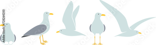 Seagull logo. Isolated seagull on white background. Bird