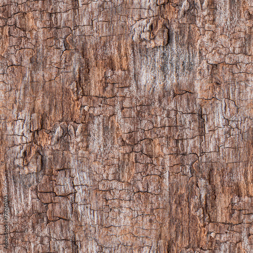 wood, texture, seamless background, pattern, bark, beautiful background