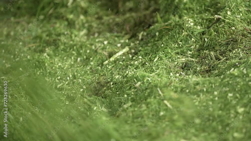view of grass falling after being milled view of grass falling after being milled