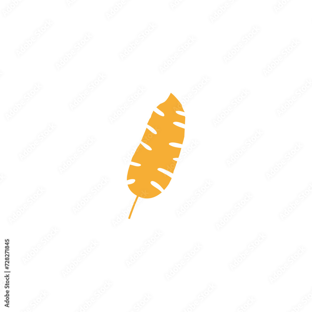 set of yellow dry leaves nature set of yellow dry leaves nature