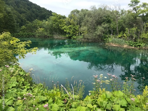 An emerald-colored lake surrounded by trees © Edita