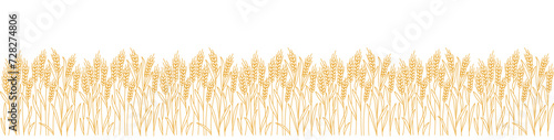 Field of cereal. Wheat ears. Vector line outline stroke. Editable open paths.