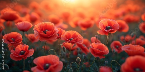 Blooming Beauties A Sunset of Red Poppies Generative AI
