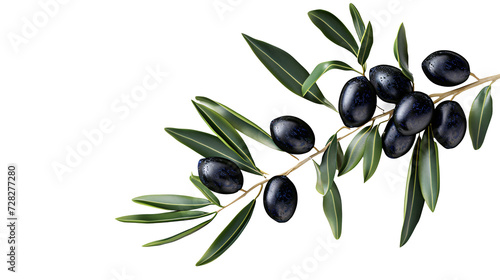 a branch with black fruits and leaves