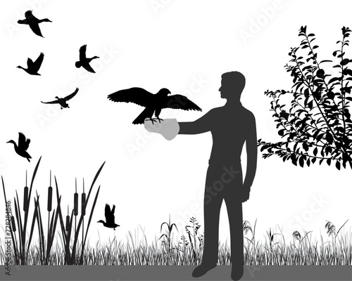 Man with peregrine falcon on his arm duck hunting