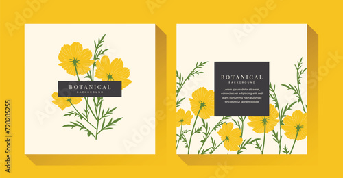 Yellow Spring Flower Illustration Background