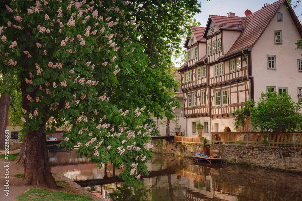 spring trip to Europe. Travel and German sightseeing locations. scenic view to facade of old historic houses somewhere in Erfurt city, Traditional half-timbered houses makes cozy and fairy tail mood spring trip to Europe. Travel and German sightseeing locations. scenic view to facade of old historic houses somewhere in Erfurt city, Traditional half-timbered houses makes cozy and fairy tail mood