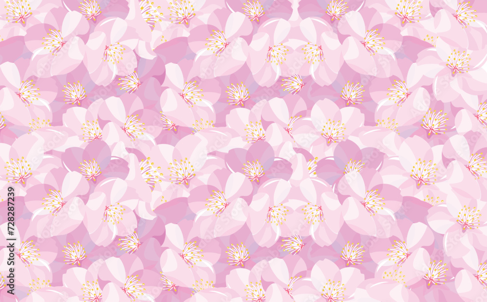 タイトルや見出しに使えるシンプルな満開の桜の花びらの花柄・模様背景の春素材_沢山・いっぱい
