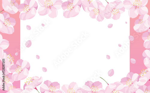 背景やタイトルに使えるシンプルな満開の桜吹雪と花びらのコピースペースのある白背景とグラデーションの春フレーム
