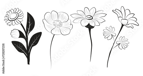 Flower Coloring Pages, vector,eps flower set free download